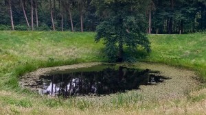 The 2nd Canadian Tunnelling Company